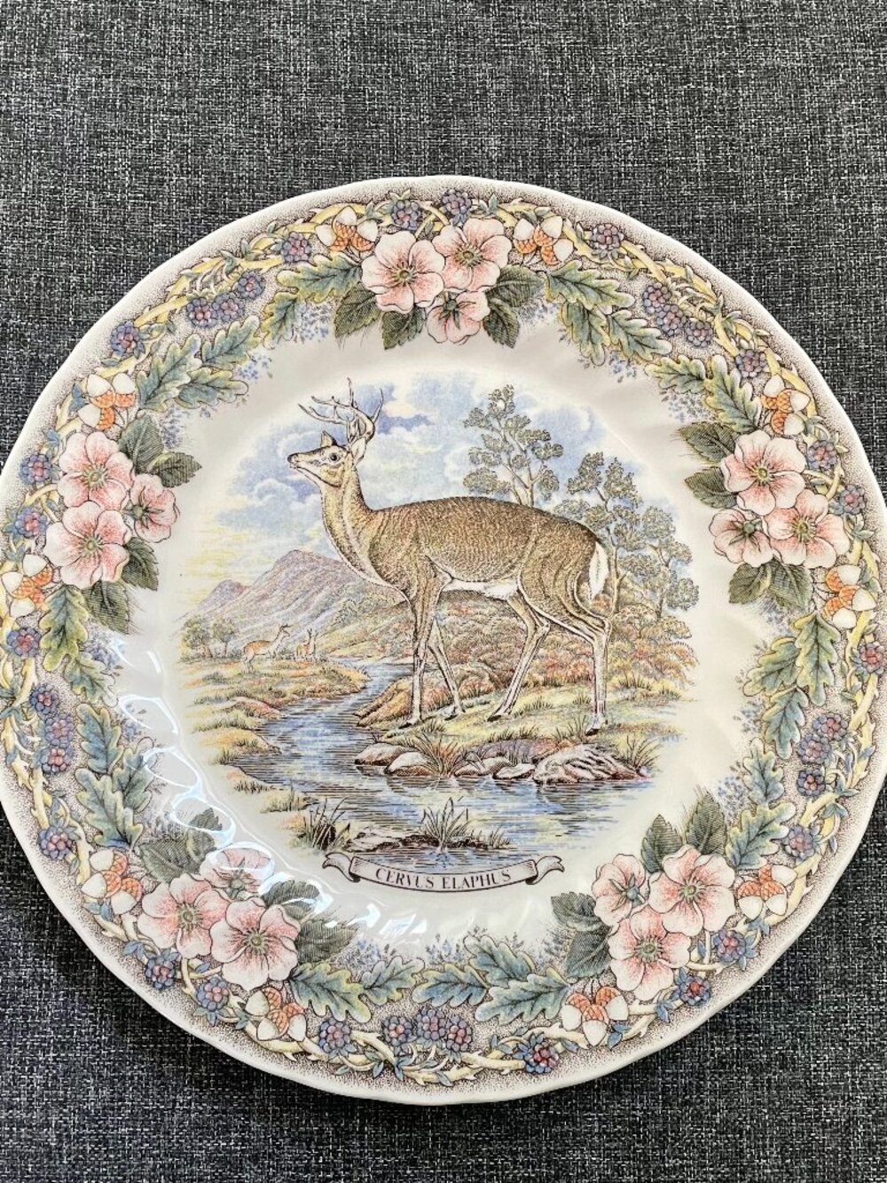 VTG Game Deer Plate by CHURHILL
